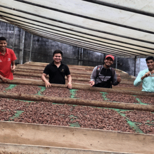 Procesamiento de cacao